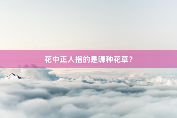 花中正人指的是哪种花草？