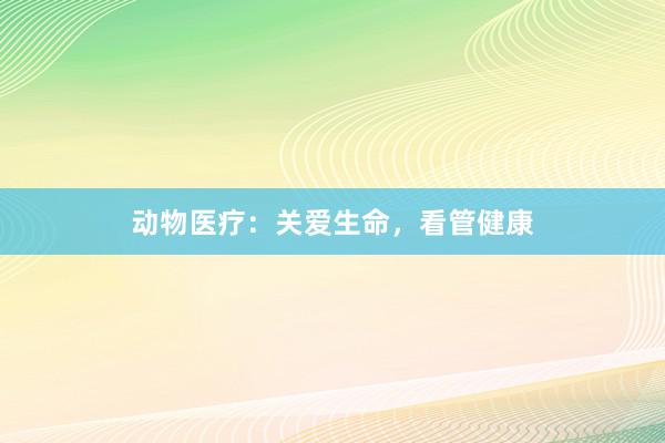 动物医疗:关爱生命,看管健康
