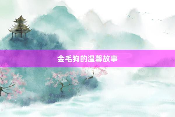 金毛狗的温馨故事